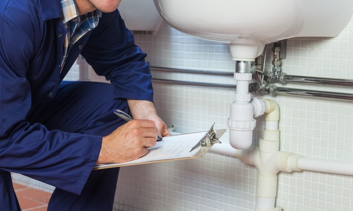 plumbing inspection report zabs